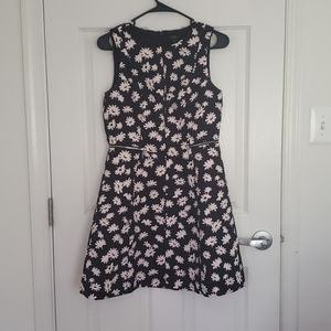Ann Taylor Dress